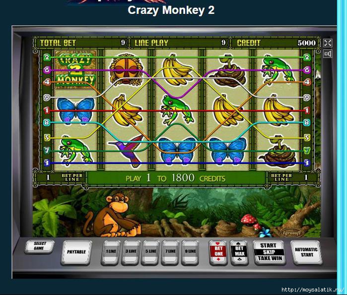   crazy-monkey-2/4121583_keyn (700x595, 282Kb)