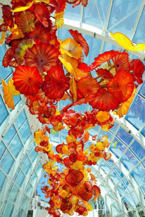 sealing-architecture-installation-chihuly (466x700, 484Kb)