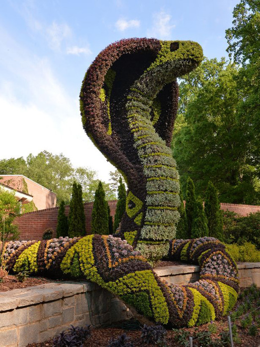 snake (524x700, 197Kb)