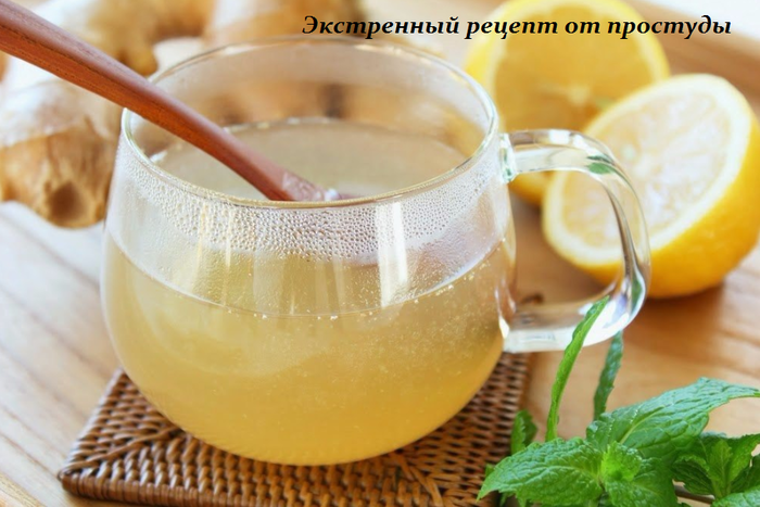 1455639385_yekstrennuyy_recept_ot_prostuduy (700x467, 451Kb)