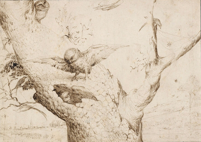 The_Owl's_Nest_Bosch (700x494, 378Kb)