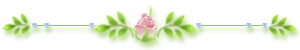 989454wkznuoyvts (300x50, 6Kb)