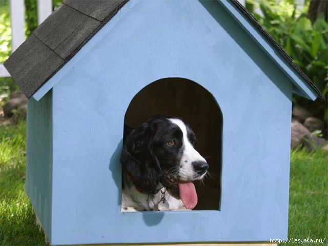 Чертежи с размерами будки для собаки – 90 фото и схема сборки конуры для питомца