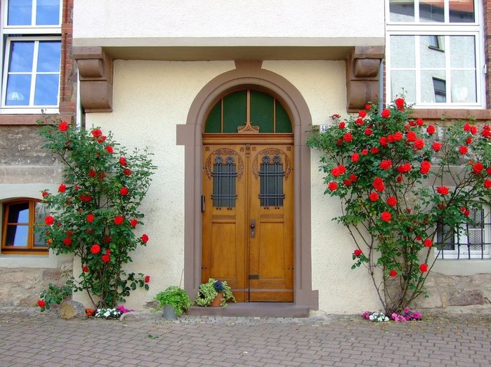 doors_flowers_19 (700x523, 312Kb)