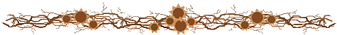 0_dc94d_cb45ac91_XL (475x50, 7Kb)
