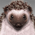  (150x150, 33Kb)
