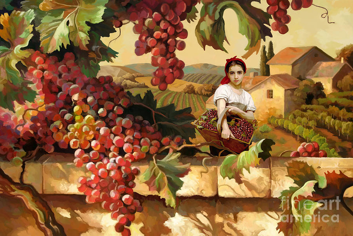young-tuscan-girl-grape-vineyard-tim-gilliland (700x469, 488Kb)