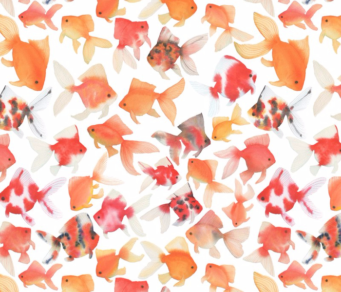 rrWatercolor_Goldfish_Resized_shop_overlay_zoom (700x599, 497Kb)