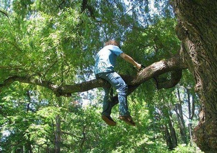 Смотри, как я могу! Фотографии людей, сделанные за секунду до их глупой смерти