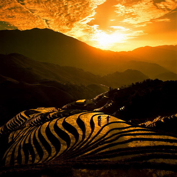  (600x600, 102Kb)