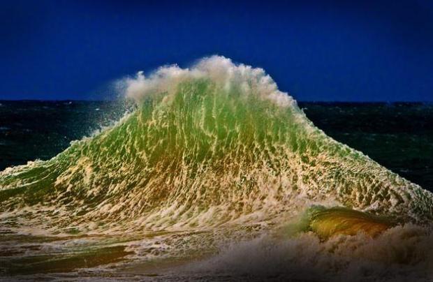 Лауреаты CIWEM экологического фотографа 2010 года (CIWEM Environmental Photographer of the Year 2010)