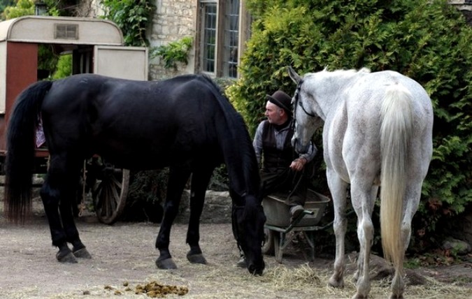 Съемки "Боевого коня" ("War Horse ") в Касл Ком около Чиппенхем, Англия, 22 сентября 2010 года. 