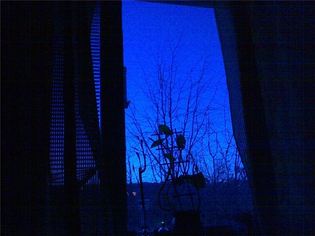 (640x480, 55Kb)