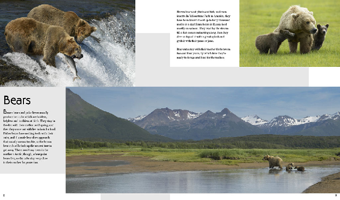 "Мои любимые семьи животных" ("My favourite animal families") от всемирно известного фотографа-анималиста Стива Блума (Steve Bloom)