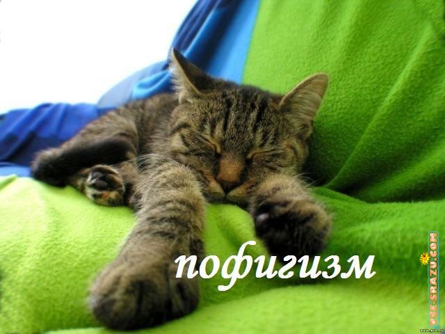  (640x480, 67Kb)