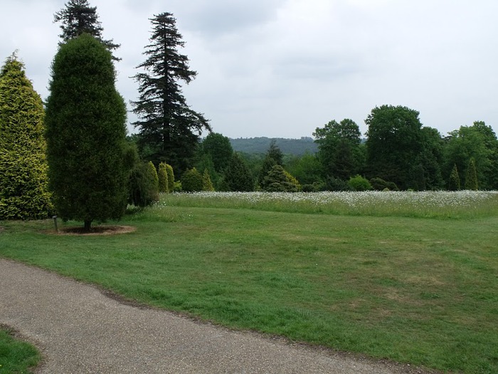 Nymans Gardens 19529