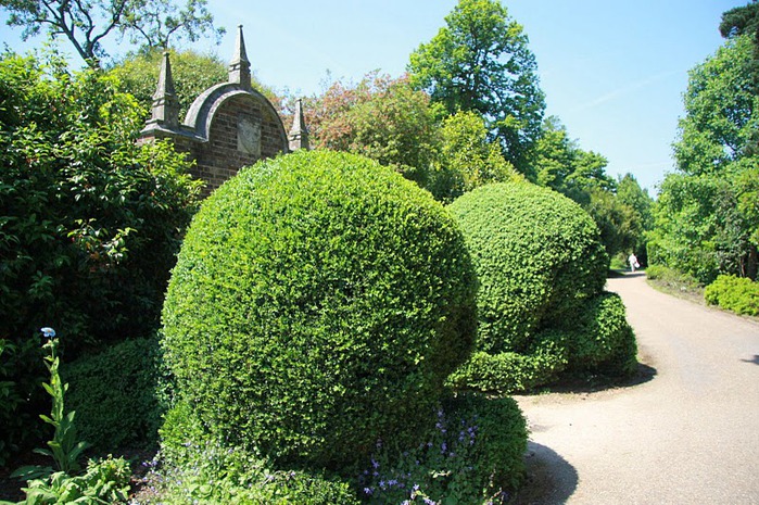 Nymans Gardens 22606