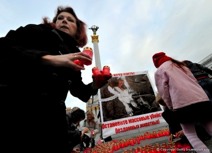 500 свечей в память о ежемесячно убиваемых животных санитарными службами Киева, Украина, 4 октября 2010 года.