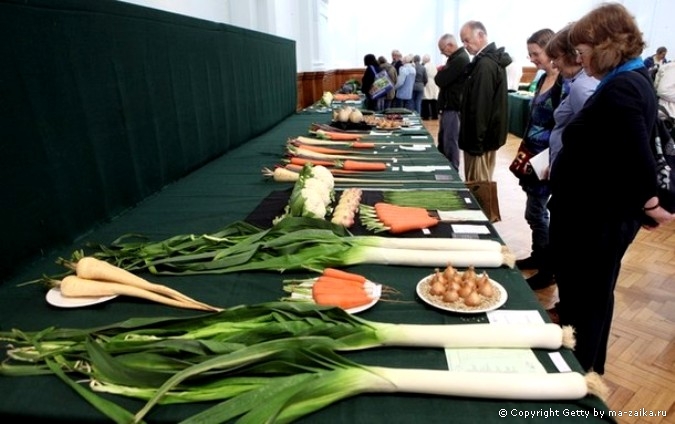 Лондонский осенний урожай королевского садоводческого общества (Royal Horticultural Society) в Лондоне, Англия, 6 октября 2010 года.