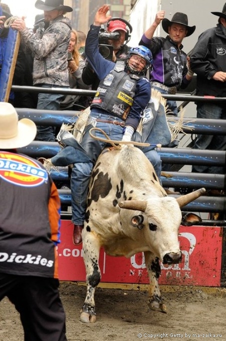 Профессиональные Bull Riders (PBR) на Таймс-сквер в Нью-Йорке, 15 октября 2010 года.