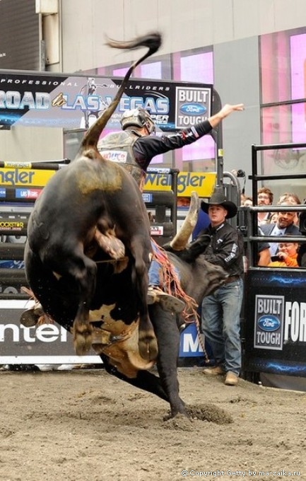 Профессиональные Bull Riders (PBR) на Таймс-сквер в Нью-Йорке, 15 октября 2010 года.