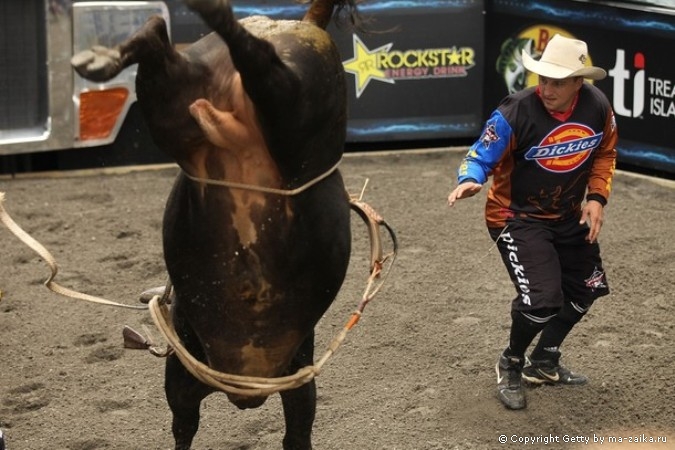 Профессиональные Bull Riders (PBR) на Таймс-сквер в Нью-Йорке, 15 октября 2010 года.