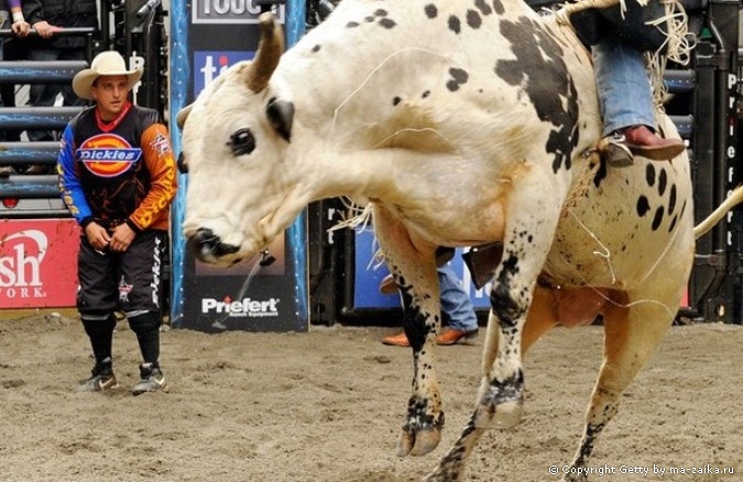 Профессиональные Bull Riders (PBR) на Таймс-сквер в Нью-Йорке, 15 октября 2010 года.