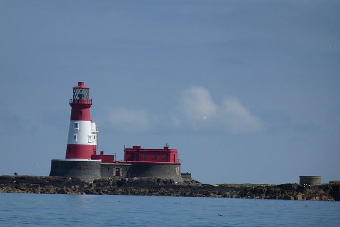 Farne Islands 12112