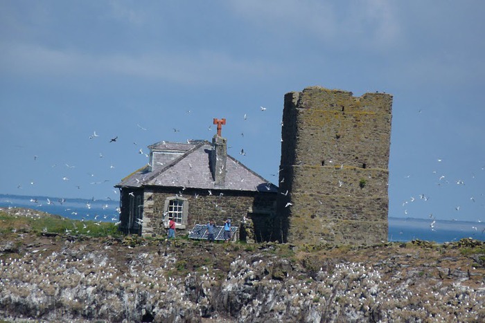 Farne Islands 90317