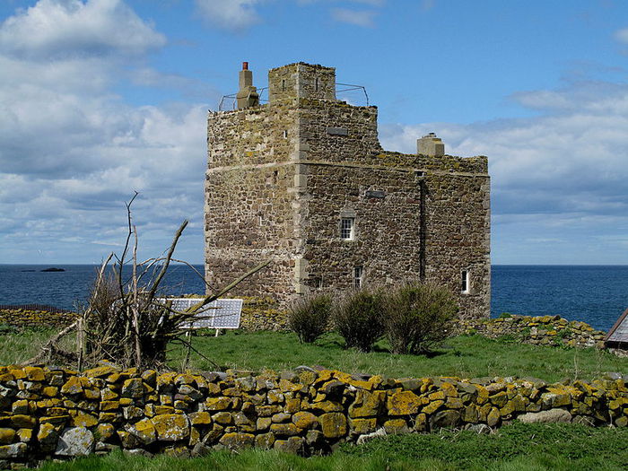 Farne Islands 37779