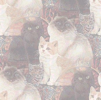Бесшовные фоны с котами (350x348, 51Kb)
