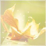  (150x150, 32Kb)