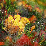  (150x150, 57Kb)