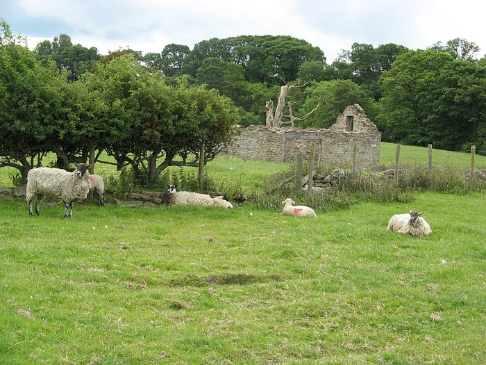 Barnard Castle - Замок Барнард 98132