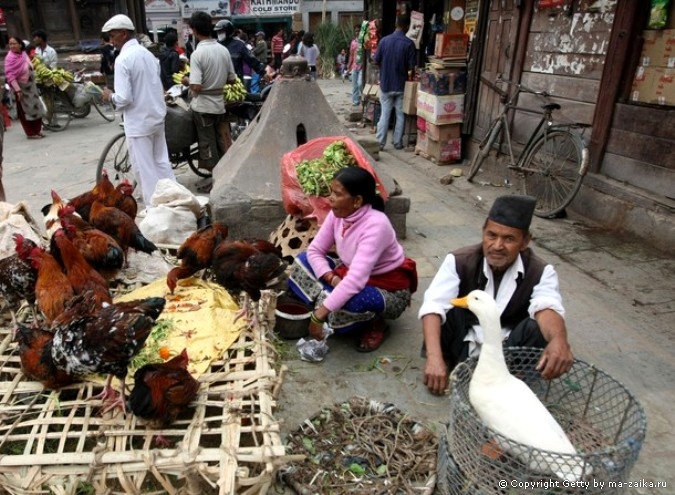 Пятнадцатидневный индуистский фестиваль Dashain в честь индусской богини власти Дурги.