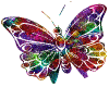 1013_babochkiz (100x80, 27 Kb)