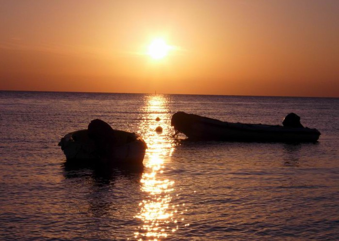 65832795_photo.jpg