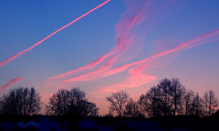 65833055_photo.jpg