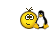 (50x30, 16Kb)