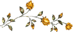 0_462d4_5273f98a_S (150x66, 8 Kb)