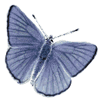  (150x150, 36Kb)