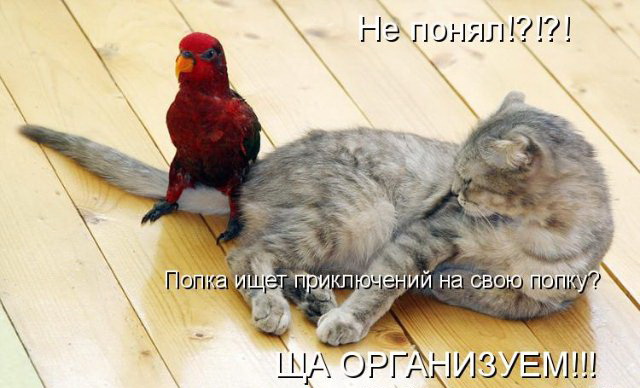 http://img1.liveinternet.ru/images/attach/c/2//66/255/66255174_011.jpg