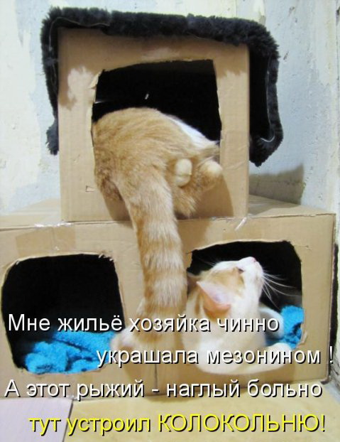 http://img1.liveinternet.ru/images/attach/c/2//66/255/66255403_021.jpg