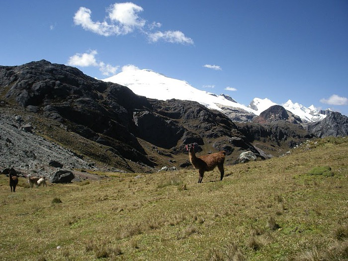 Кордильера Уайуаш (Huayhuash) 60564