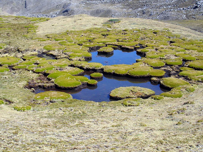 Кордильера Уайуаш (Huayhuash) 91744