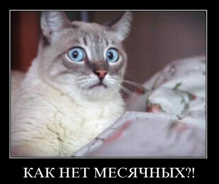 Подборка демотиваторов (700x589, 53Kb)
