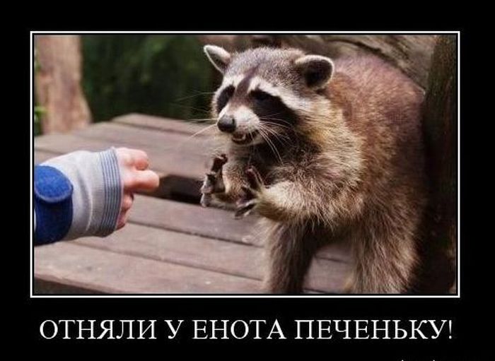 Подборка демотиваторов (700x511, 54Kb)