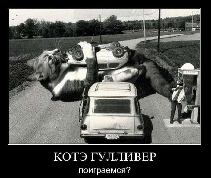 Подборка демотиваторов (700x592, 76Kb)