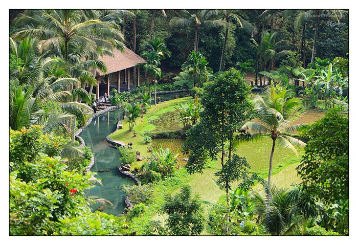 Отель The Royal Pita Maha на Бали 29