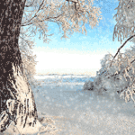  (150x150, 47Kb)